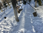 Эколята и пернатые друзья.(птицы).