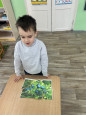 День леса.
