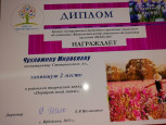 Участие детей в конкурсах, акциях