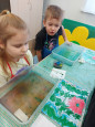 "Эбру- танец на воде"