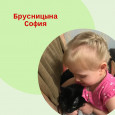 Участие в зоозащитной акции "Не бросай меня на даче!"