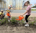 Собираем урожай!