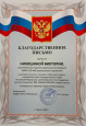 Дипломы Муниципального уровня 2024-2025 уч. год