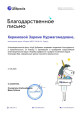 «Коробка храбрости»