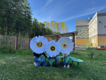 Ромашковое счастье и семейные ценности! 