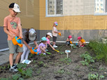 "Праздник Урожая" в "Буровичке" 