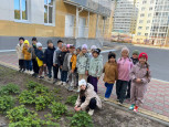 "Праздник Урожая" в "Буровичке" 