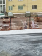"День рождения Волшебника" 