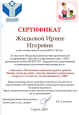Дипломы Муниципального уровня 2025-2026 уч. год