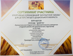Дипломы Муниципального уровня 2025-2026 уч. год