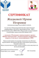 Доклад «Славна богатырями земля русская» в рамках проекта "Три ратных поля России"