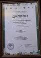 Мои достижения