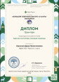 Мои достижения