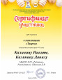 Достижения воспитанников (очные конкурсы)