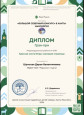 Транслирование опыта профессиональной деятельности