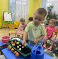 Мы сегодня лук садили! 