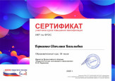 УЧАСТИЕ В СЕМИНАРАХ, ВЕБИНАРАХ, МАСТЕР-КЛАССАХ