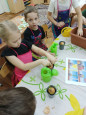 Конспект "Посадка лука"