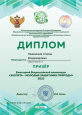 Участие в олимпиадах.
