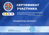 Участие в олимпиадах.
