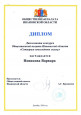 Конкурс Общественной палаты Ивановской области "Сотворим новогоднюю сказку"