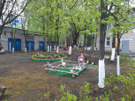 Благоустройство территории 