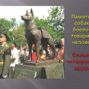 #УрокПобеды