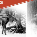 #УрокПобеды