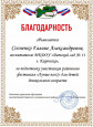 Благодарность за подготовку участника