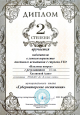 Достижения детей