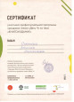 Сертификат участника профессиональной программы праздник "День Ч".