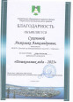 Благодарность за подготовку участника районного конкурса.