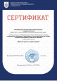 сертификат участника семинара  - практикума