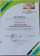 Транслирование в педагогических коллективах опыта практических результатов своей профессиональной деятельности 