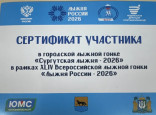Профессионально-общественная деятельность
