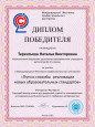Транслирование опыта профессиональной деятельности