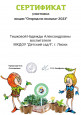 Дипломы и грамоты