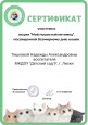 Дипломы и грамоты
