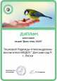 Дипломы и грамоты