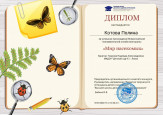 Дипломы и грамоты