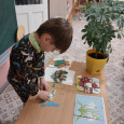 Неделя мир комнатных растений
