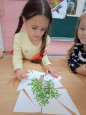 день земли