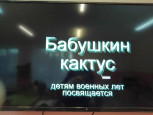Блокада Ленинграда,Сталинградская битва