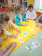  В мире насекомых