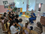  В мире насекомых