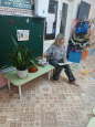 январь  комнатные растения и добрые дела