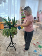 январь  комнатные растения 