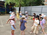Веселые прогулки летом