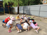 Веселые прогулки летом