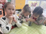 Выращивание зелени и цветов